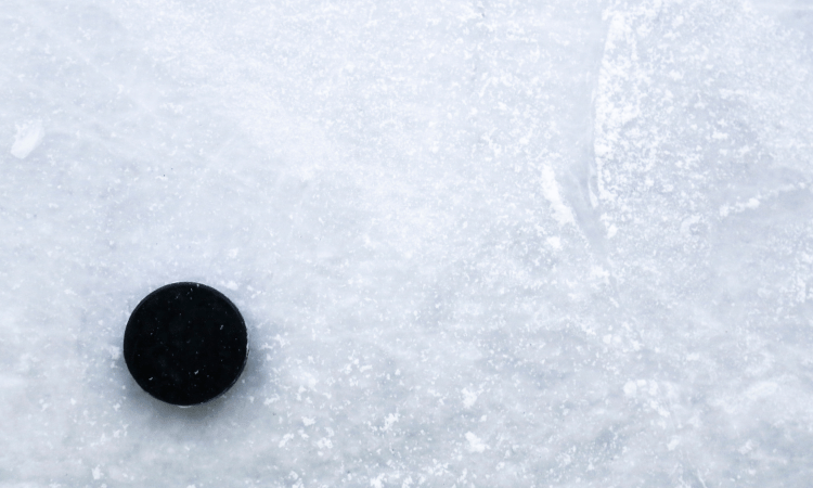 A close up of the ice at a rink with a puck displayed in the bottom left corner.