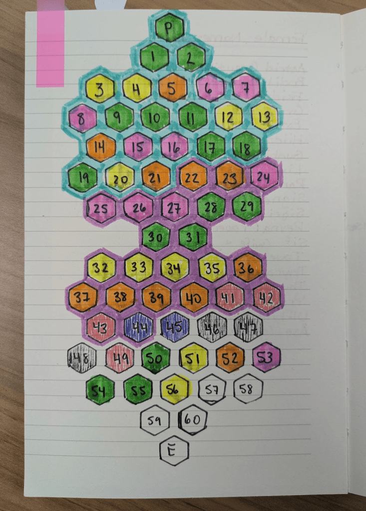 An image in a notebook showing a grid of hexes. The hexes are numbered and highlighted different colors. Not all are highlighted.
